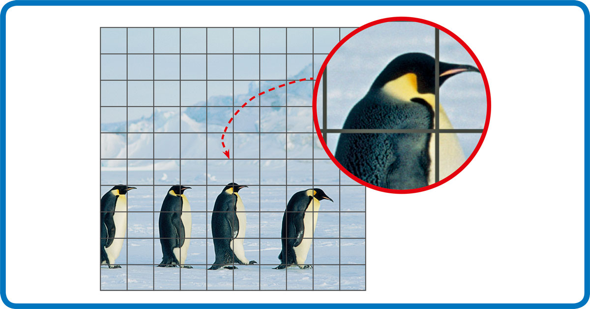 desenho de pinguim imperador