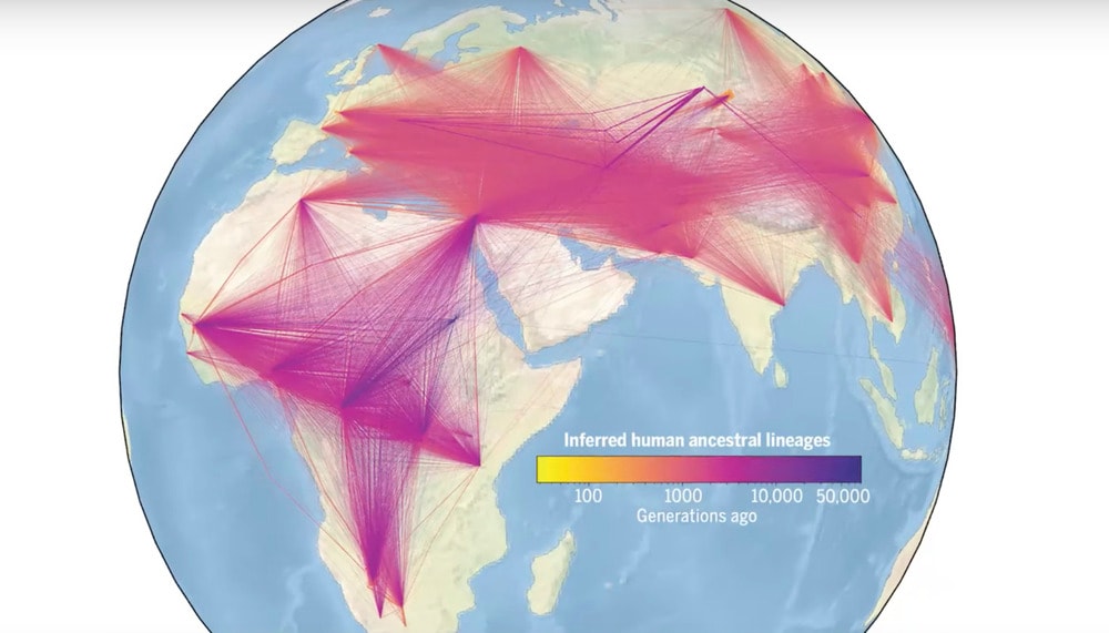 árvore genealógica da humanidade