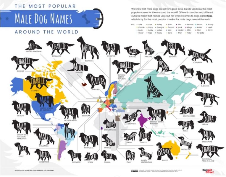 nomes de cachorro