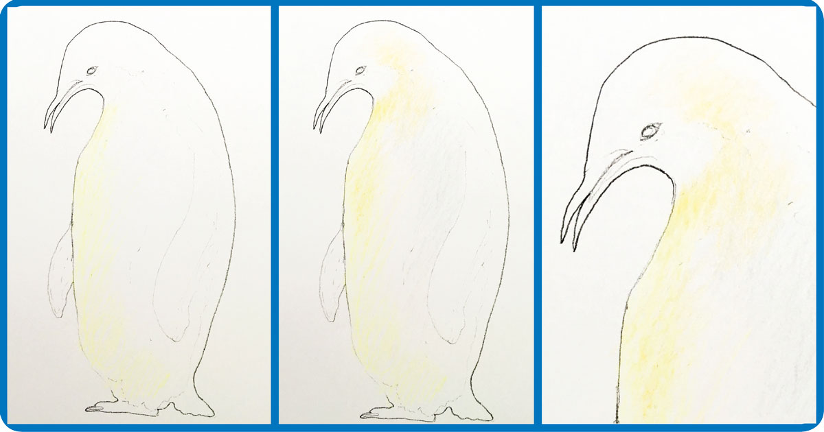 desenho de pinguim imperador