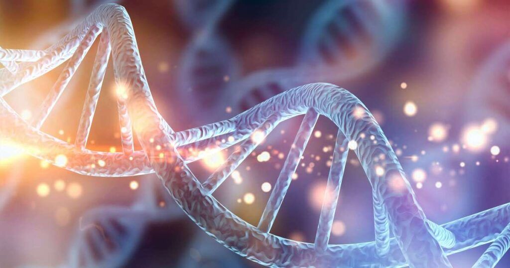 O que é o DNA e para que serve? - Mono Mito