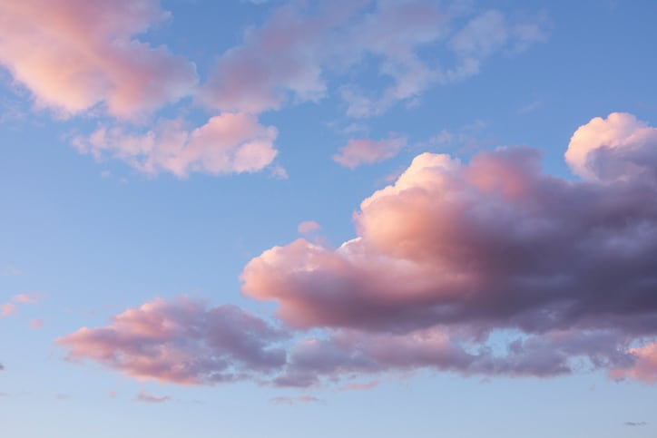 viva magenta