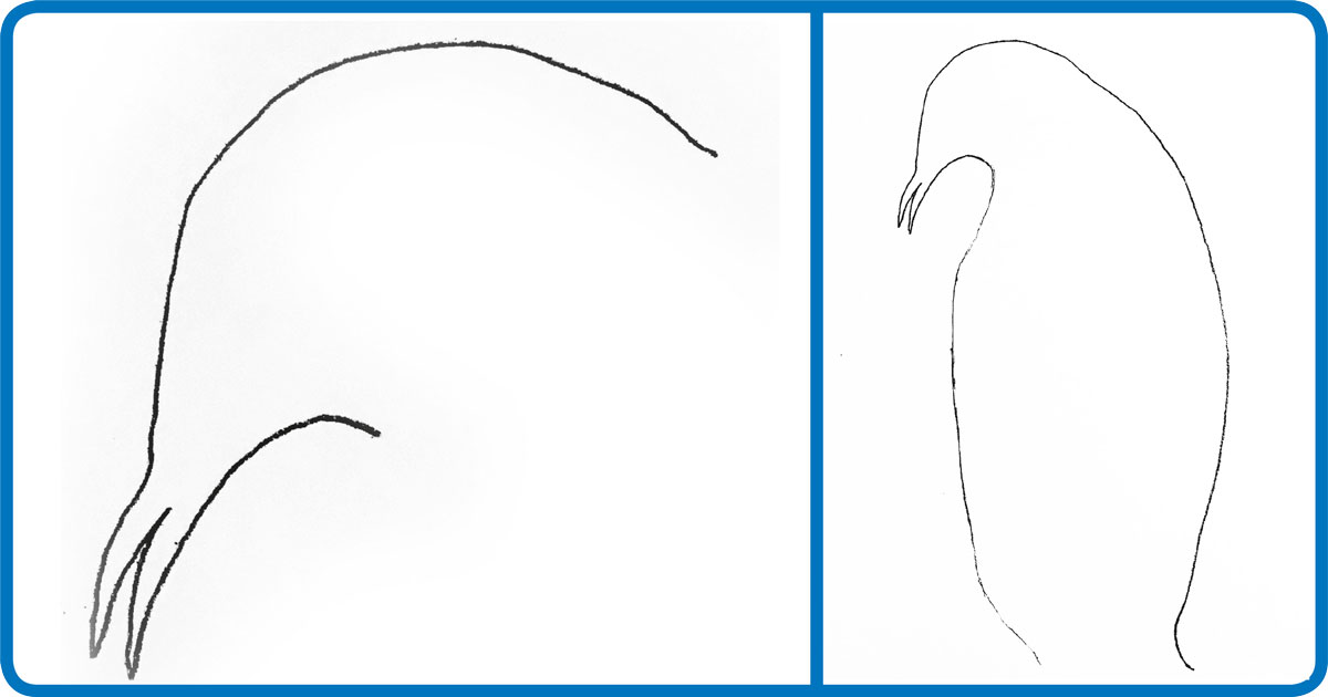 desenho de pinguim imperador