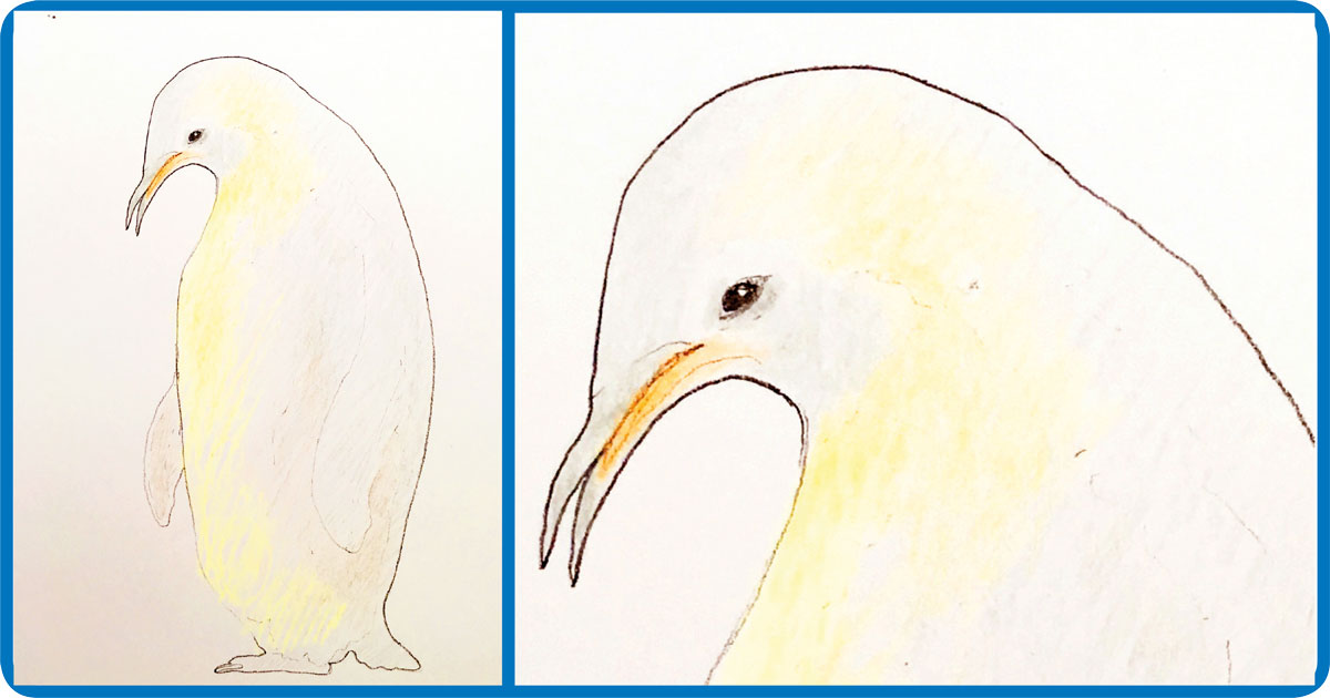 desenho de pinguim imperador