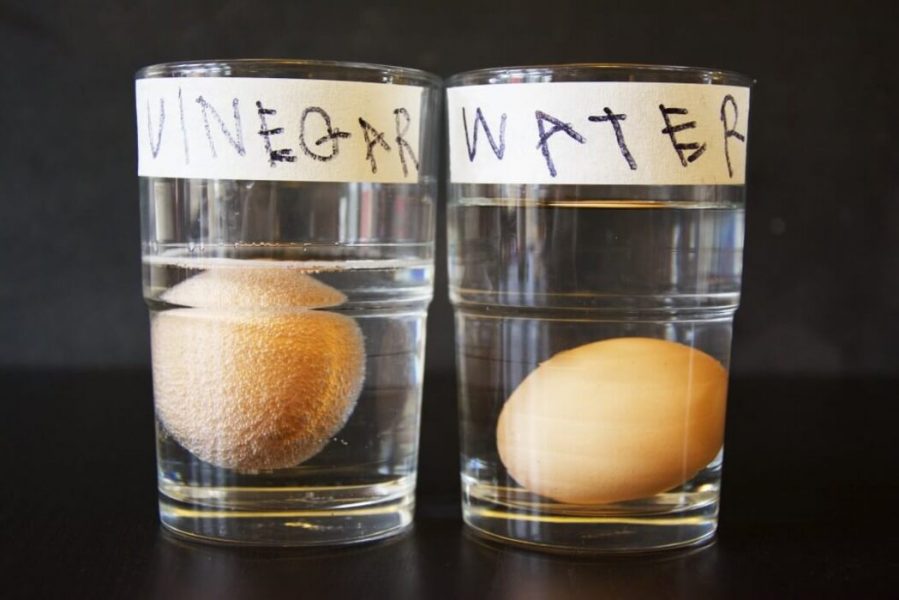 experimentos científicos