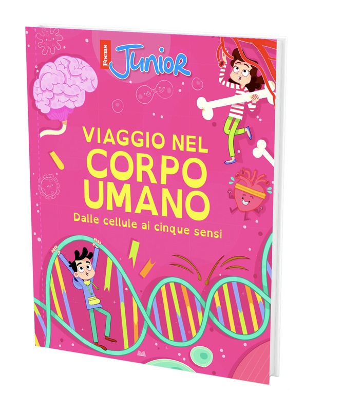 Viagem ao corpo humano